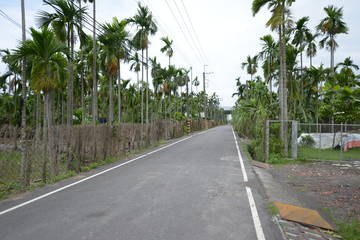 編號651-竹田土庫農地