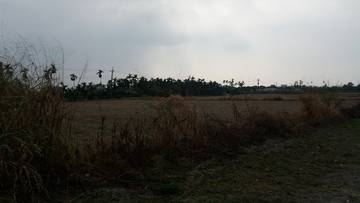 AF001 九塊農地