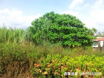 美和建地A148