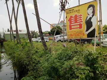 台三線農地