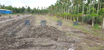 DP239＊新埔都計農地9