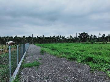 AF302 豐田竹圍A農地