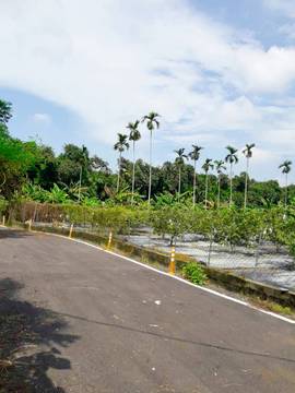 LS59161 長治交流道農地