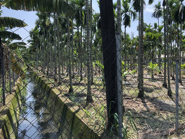 LS60849 麟洛永達農地