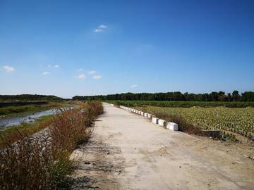 AF397 高樹三民農地