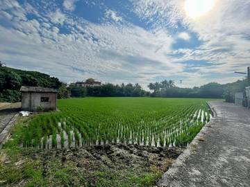 編號387-市區乙工地+農地