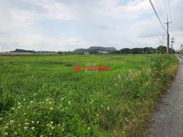 編號SS36257-高樹方正美農地